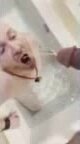 Popper Piss Pig  2