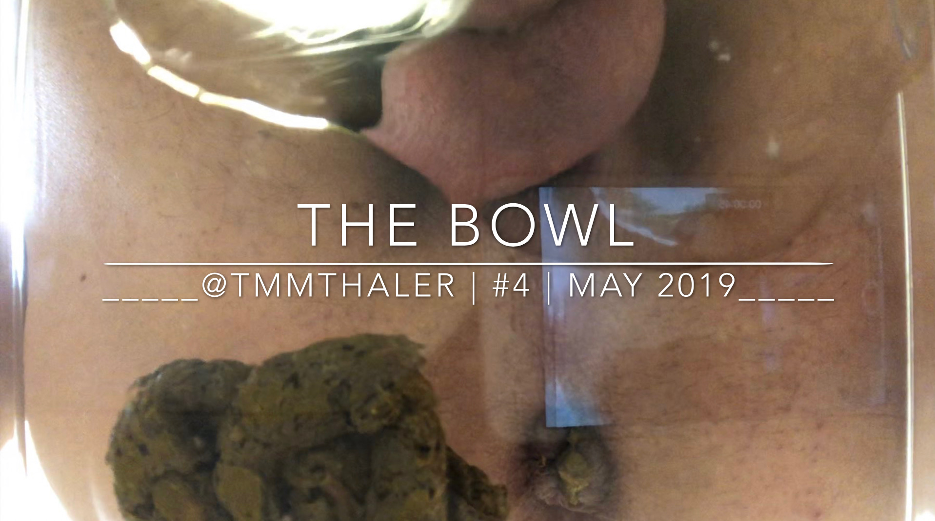 The Bowl (mélange of scat and piss)