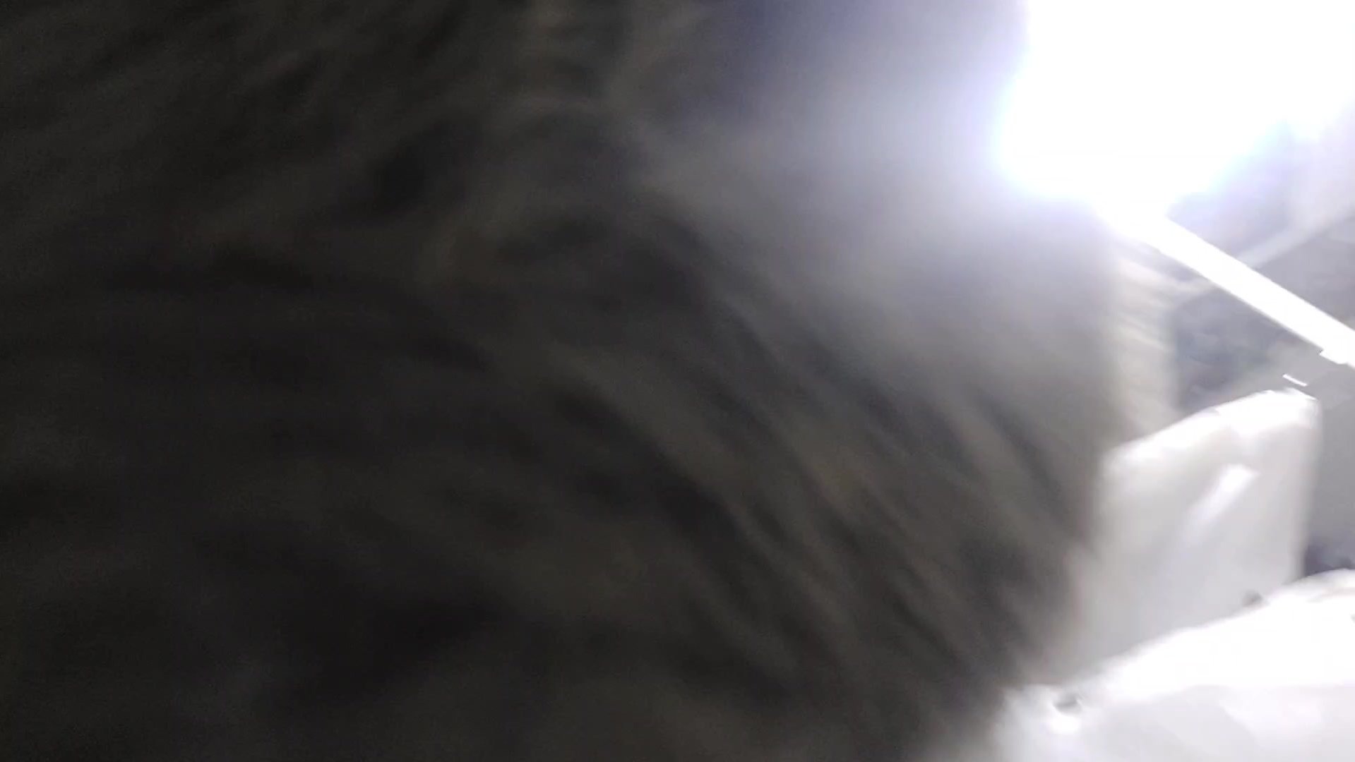 I love sucking cock pt 2
