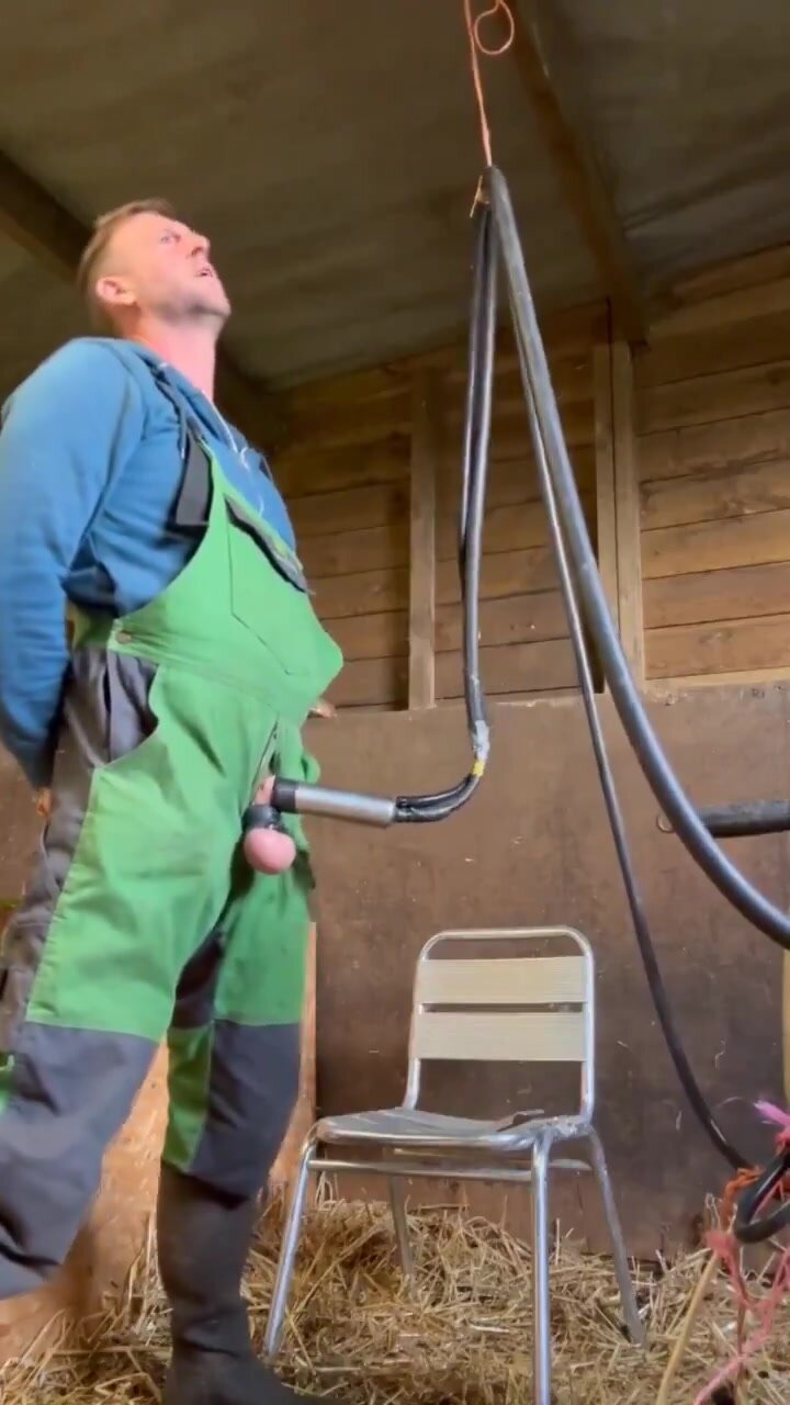 Man milking