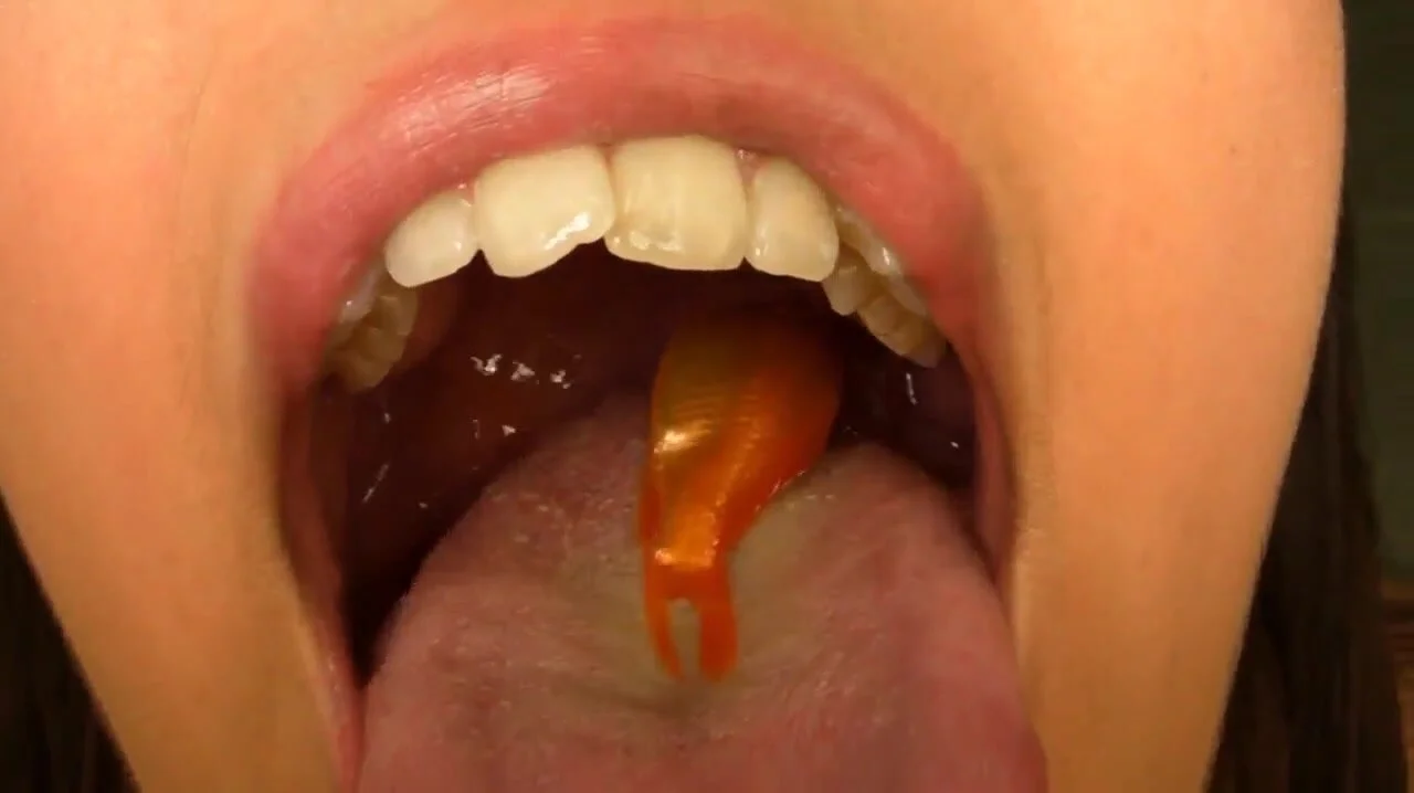 Multiple Fish Vore - ThisVid.com