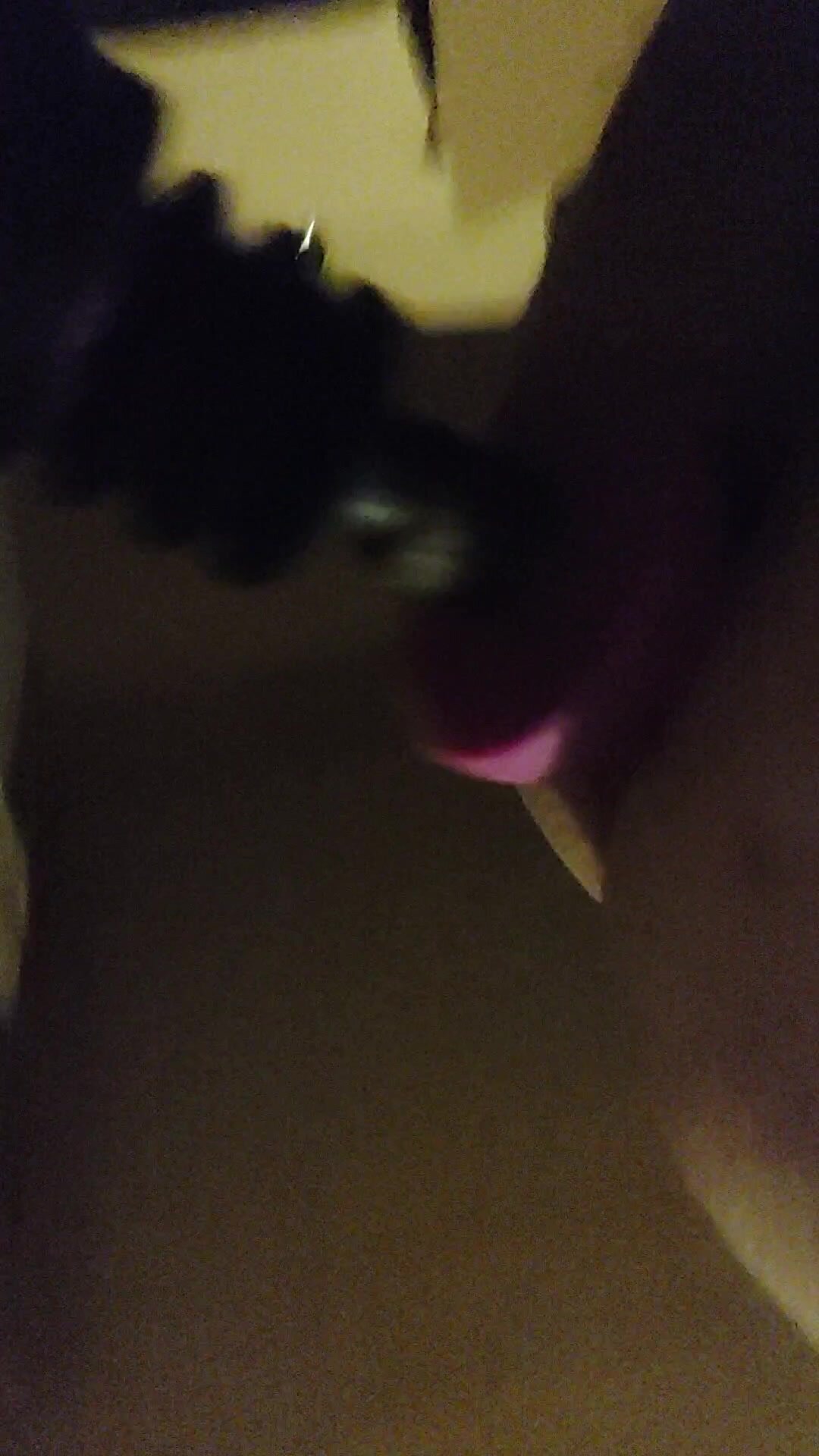 Dildo Fuck Machine 24