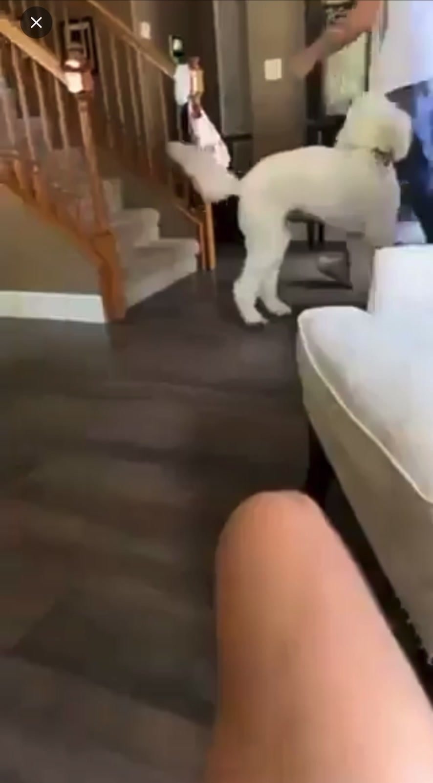 CUTE WHITE TEEN CAUGHT
