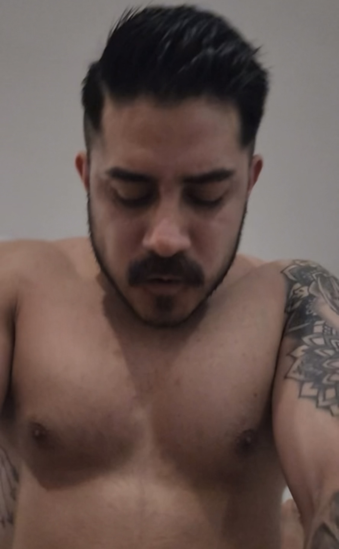 Chacal Mexicano cojiendo