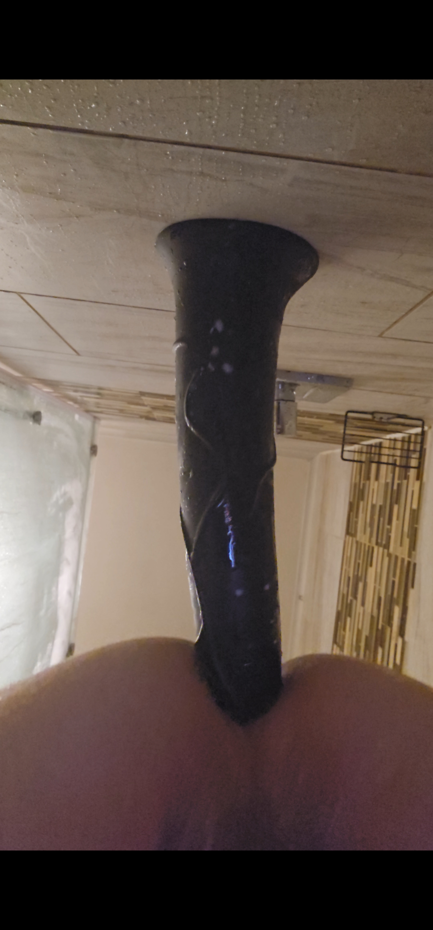Boys first horse cock