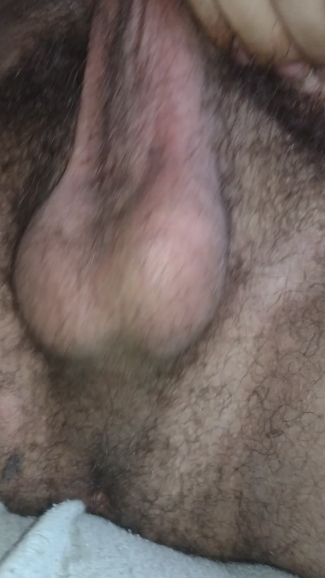 Musky hairy balls bate