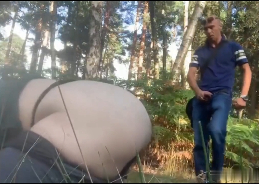 Forest Cruising - video 2