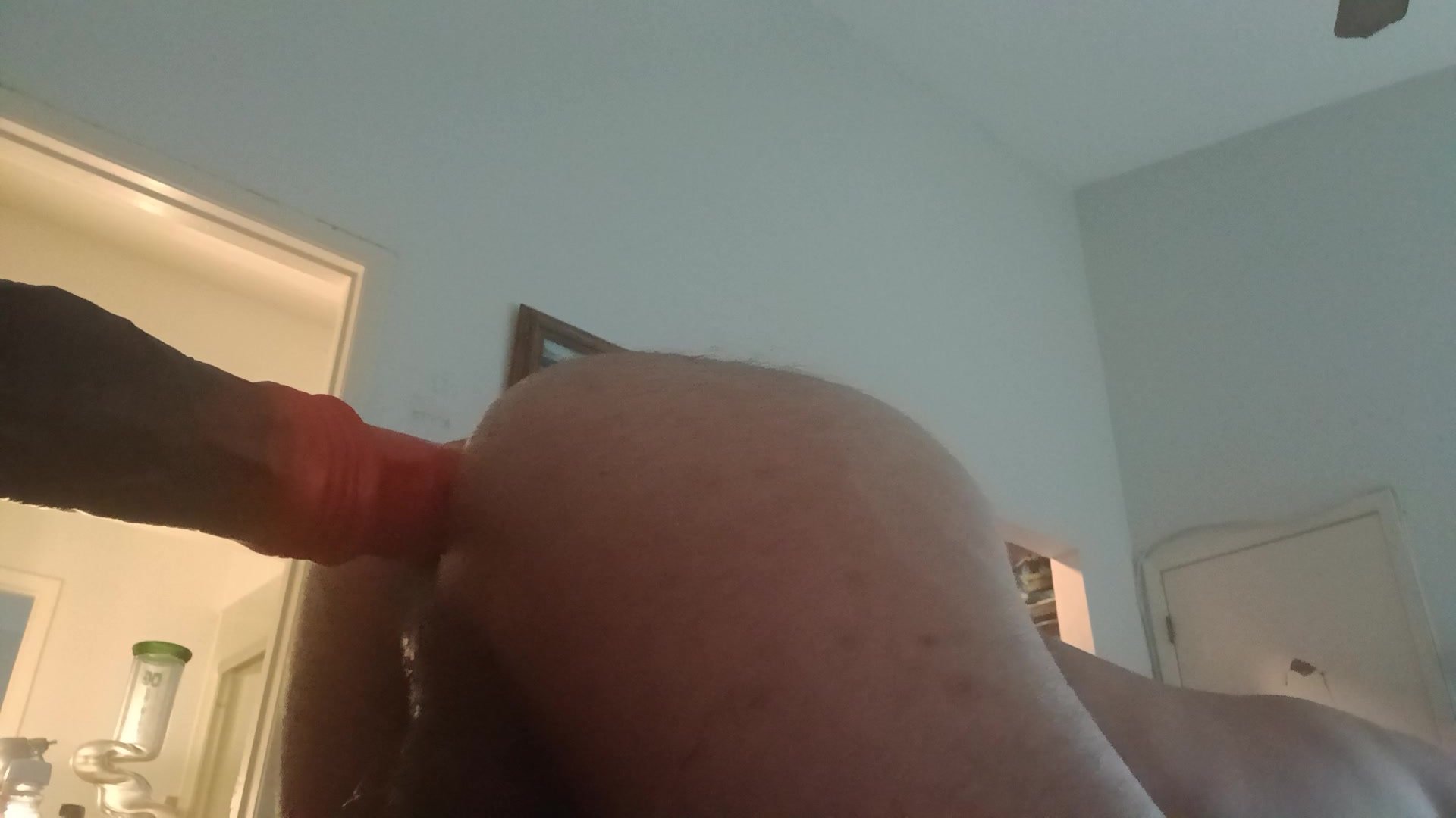 horsecock makes pup boy fart