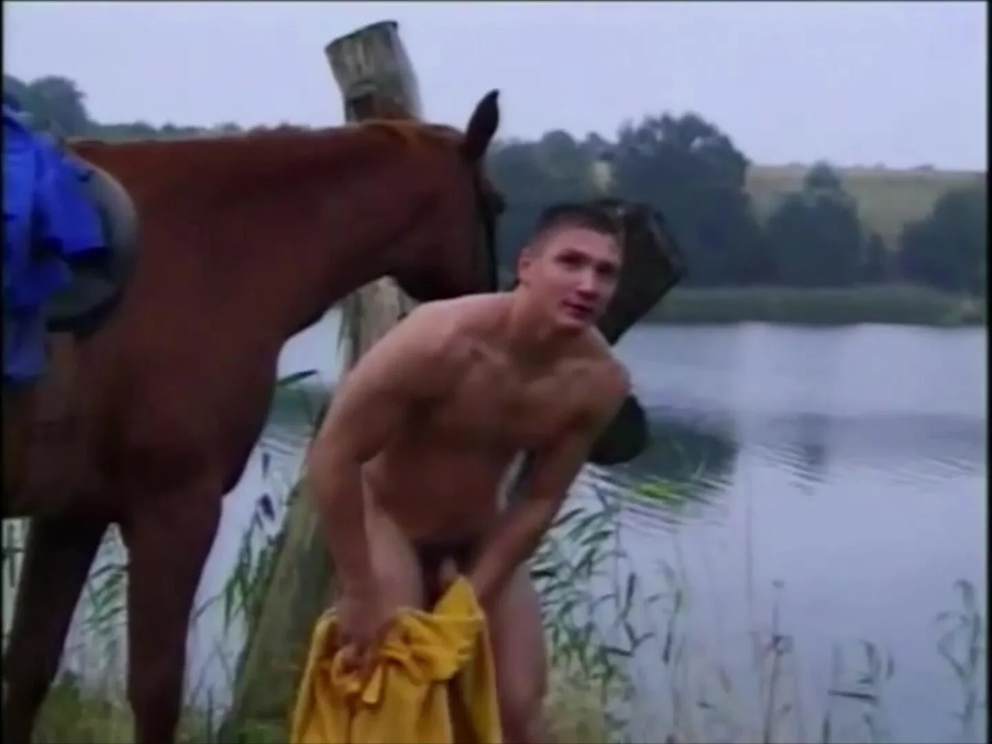 Man and horse - ThisVid.com