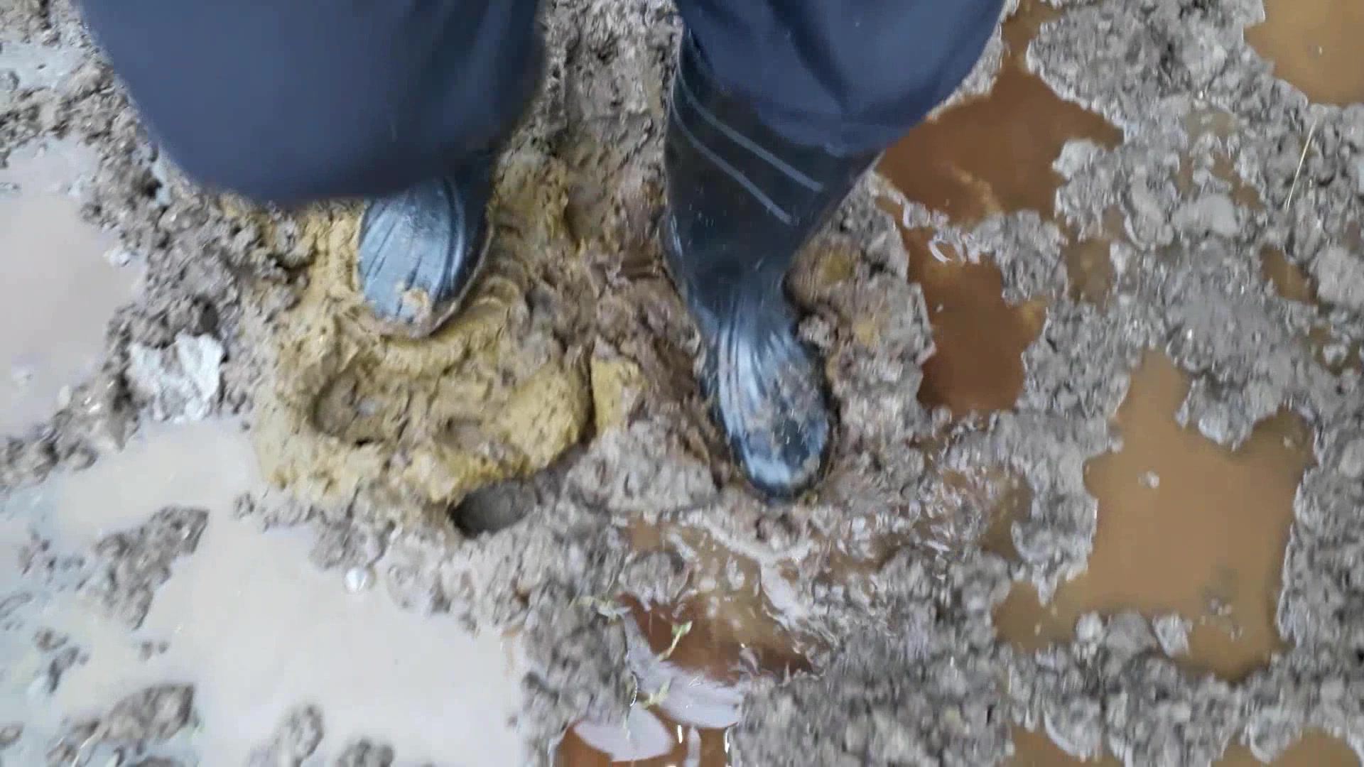 Rubber boots vs cowshit - video 10