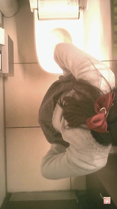 Japanese Toilet Voyeur 0311d - ThisVid.com