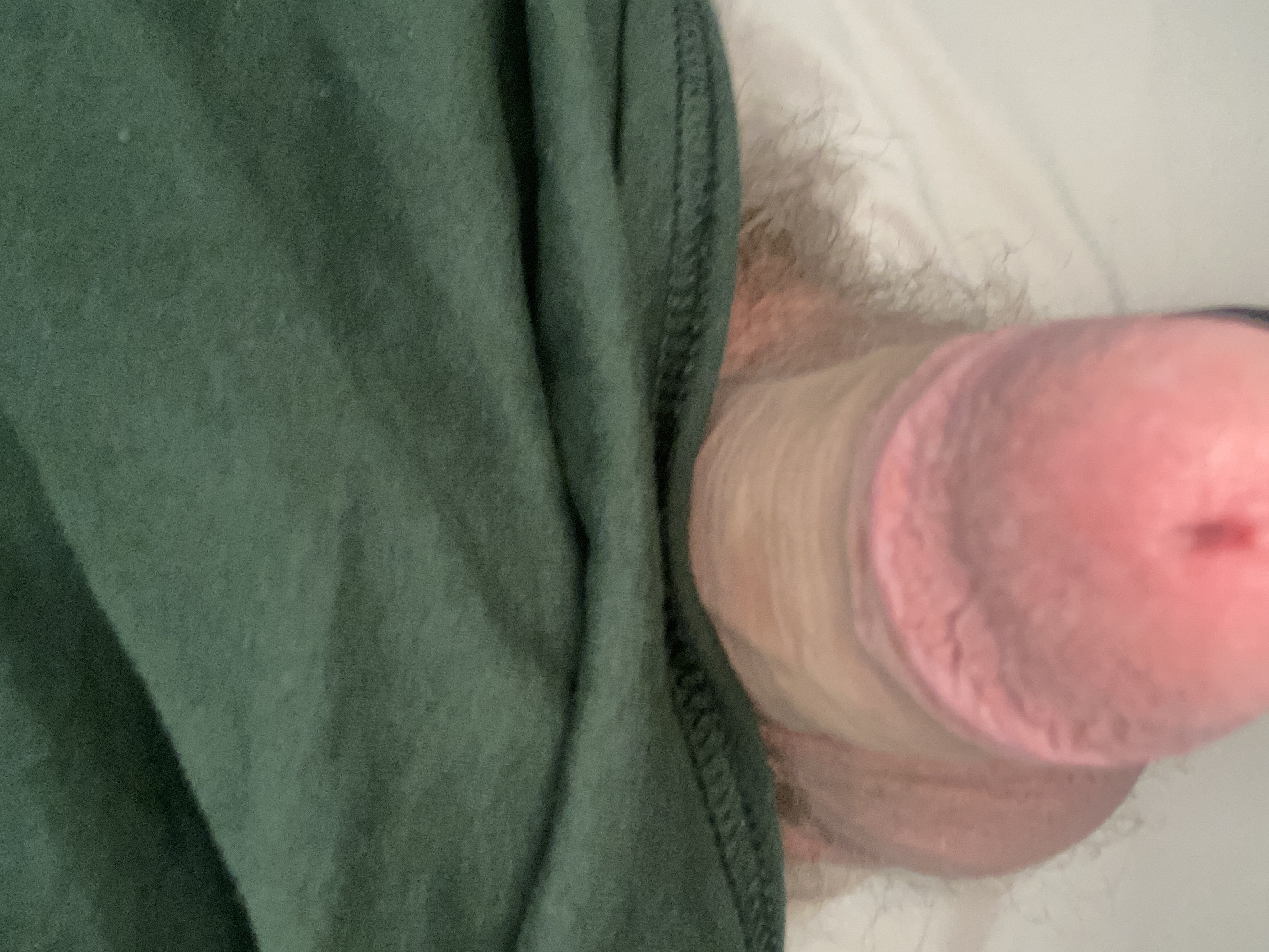 Young Bear Showsoff dick on Toilet