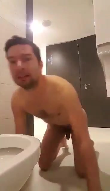 Toilet pup