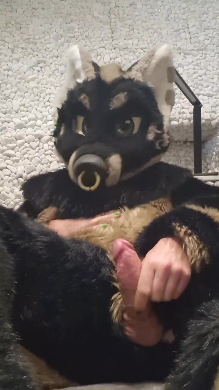 Fursuiter cumming #1 - ThisVid.com