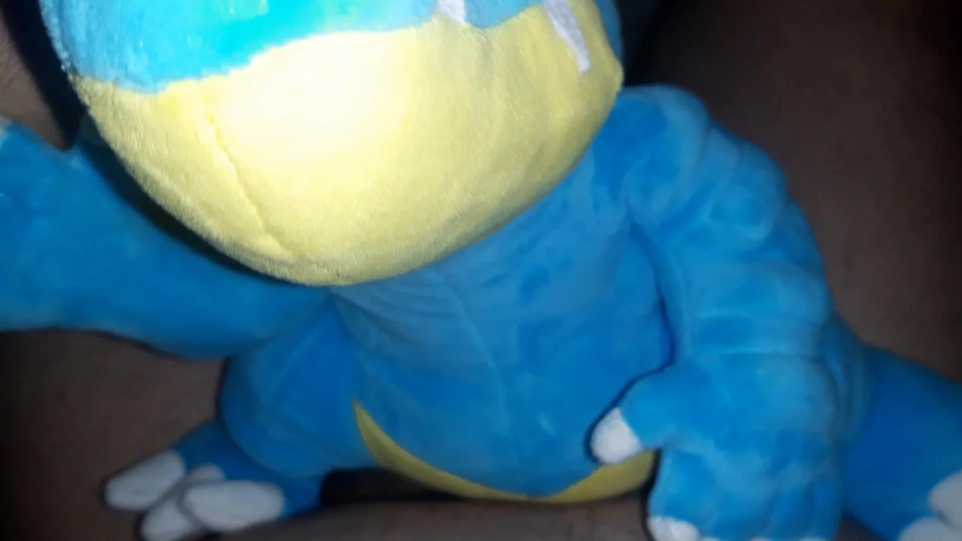 Feraligatr fun - ThisVid.com 日本語で