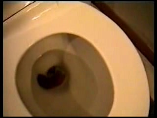 Milf poops big time on toilet and shows us what she has done