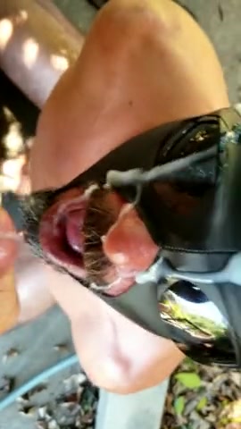 Hooded pig gets massive facial