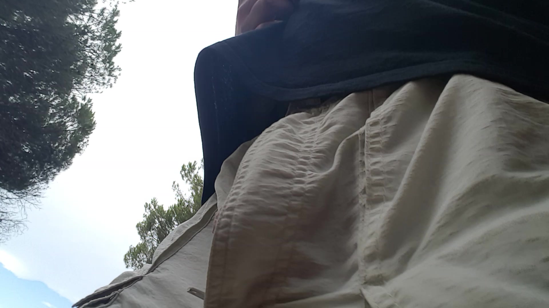 forest walk - video 2