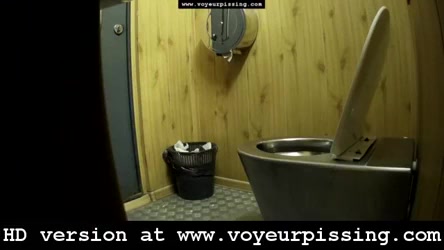 Toilet voyeur pooping - video 2