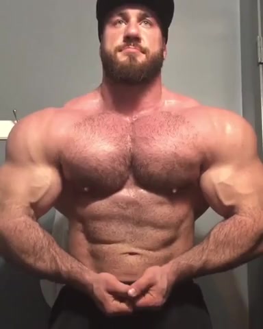 Gigant bodybuilder possing