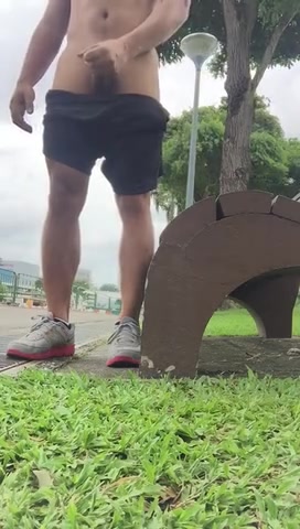 Busting a Nut at the Bus Stop