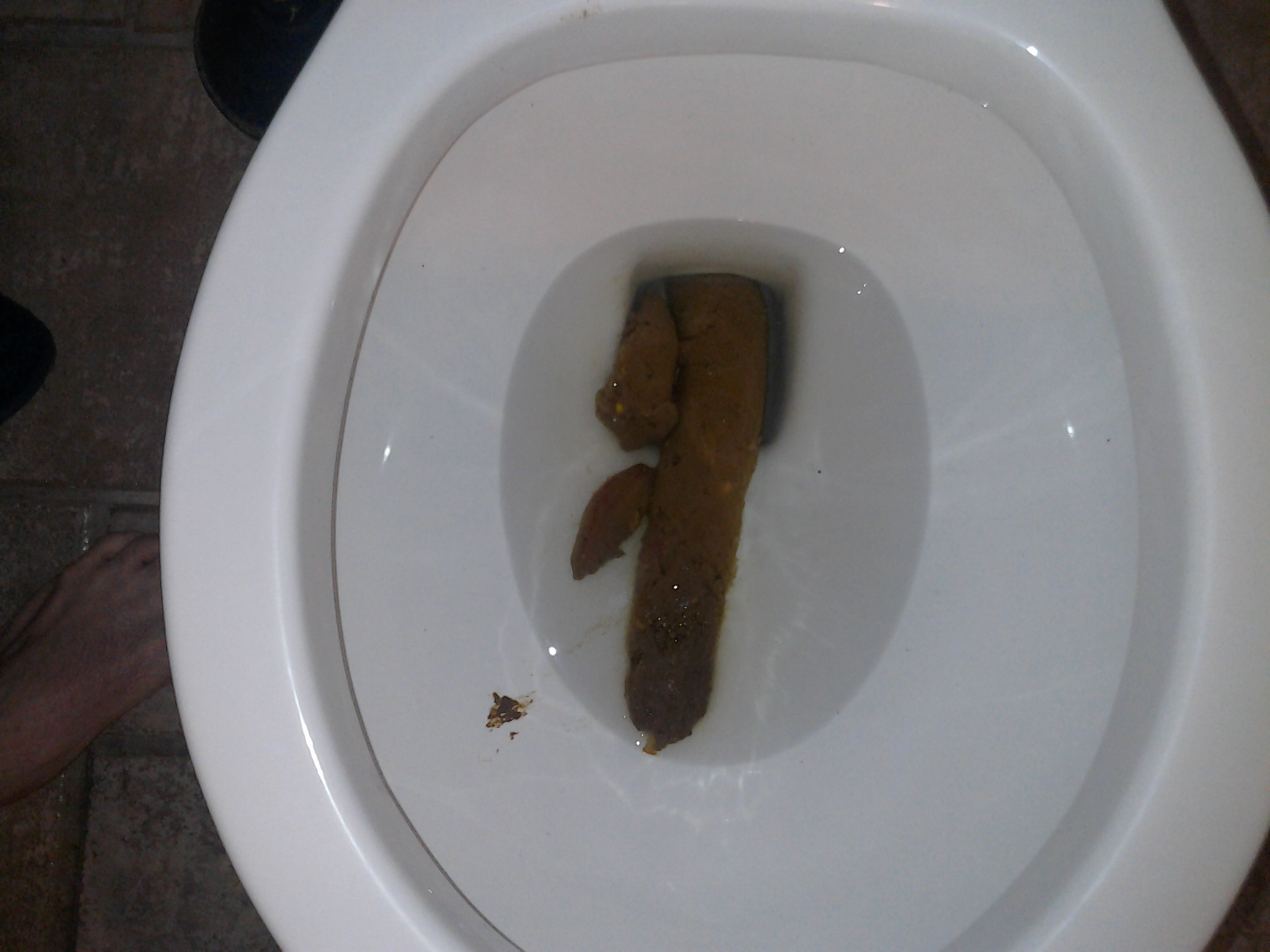 Huge shit in toilet