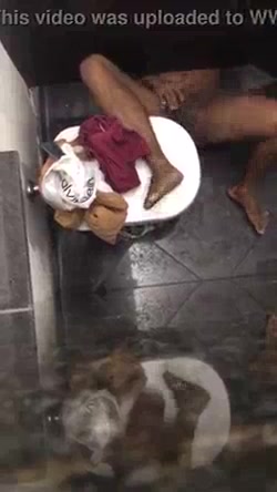 Spy baños