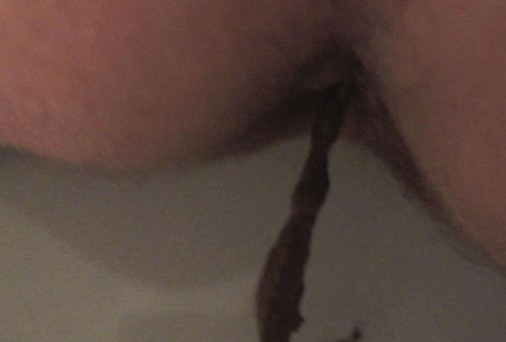 My sister poo in 2 toilets and I manage to catch her butthole on video