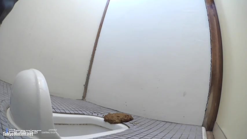 japanese toilet onsen