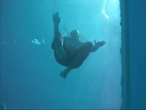 Bear Underwater in pool