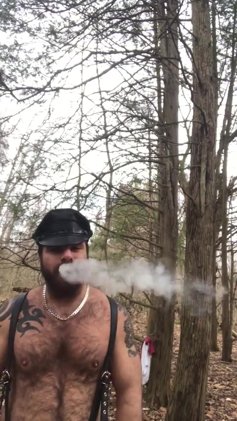 Cigar Bear - video 2
