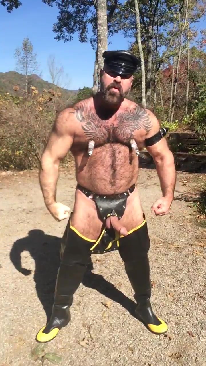Pig daddy in perfect gear