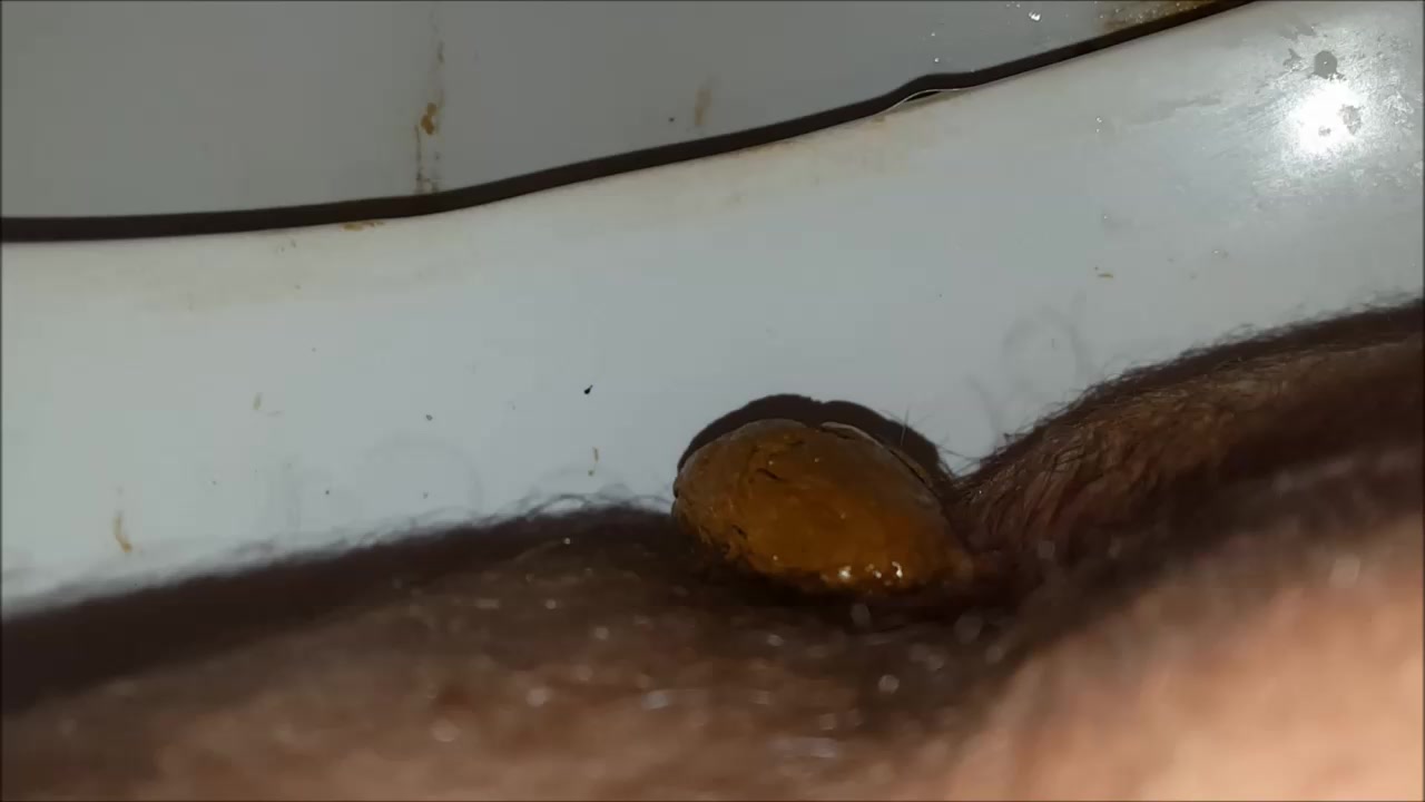 toilet - video 13