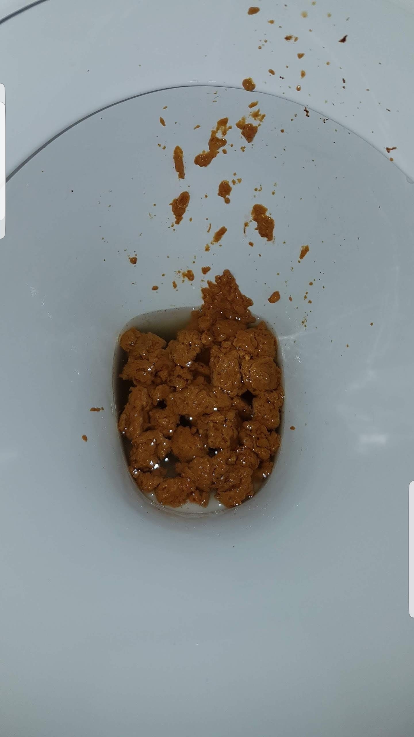 Sunday morning sloppy farty hangover shit on mates toilet