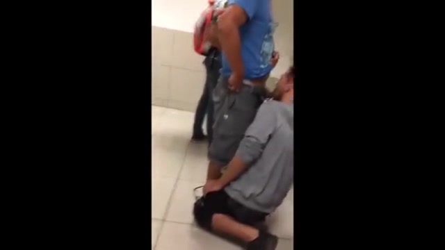 Pig playtime at the urinals compilation