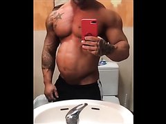 muscle gut belly