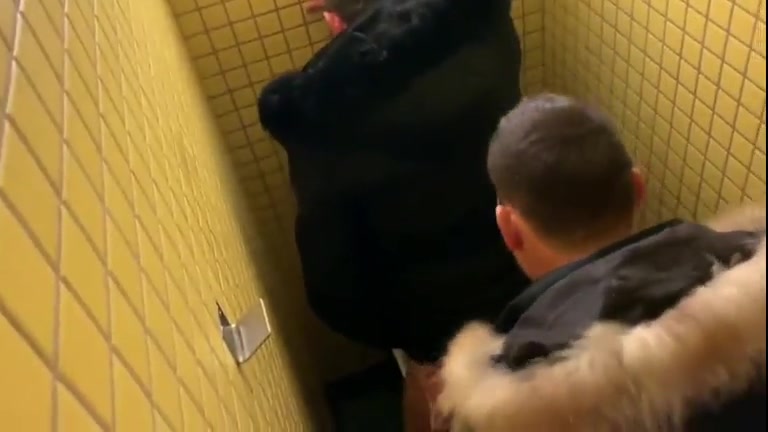 Pigs in winter coats getting it on in a stall