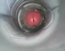 Dans un cul ou une bouche, l\