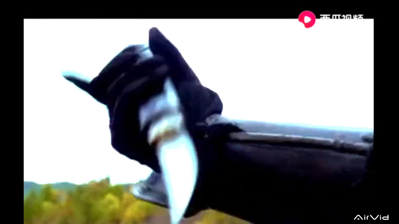 stab gut - video 2