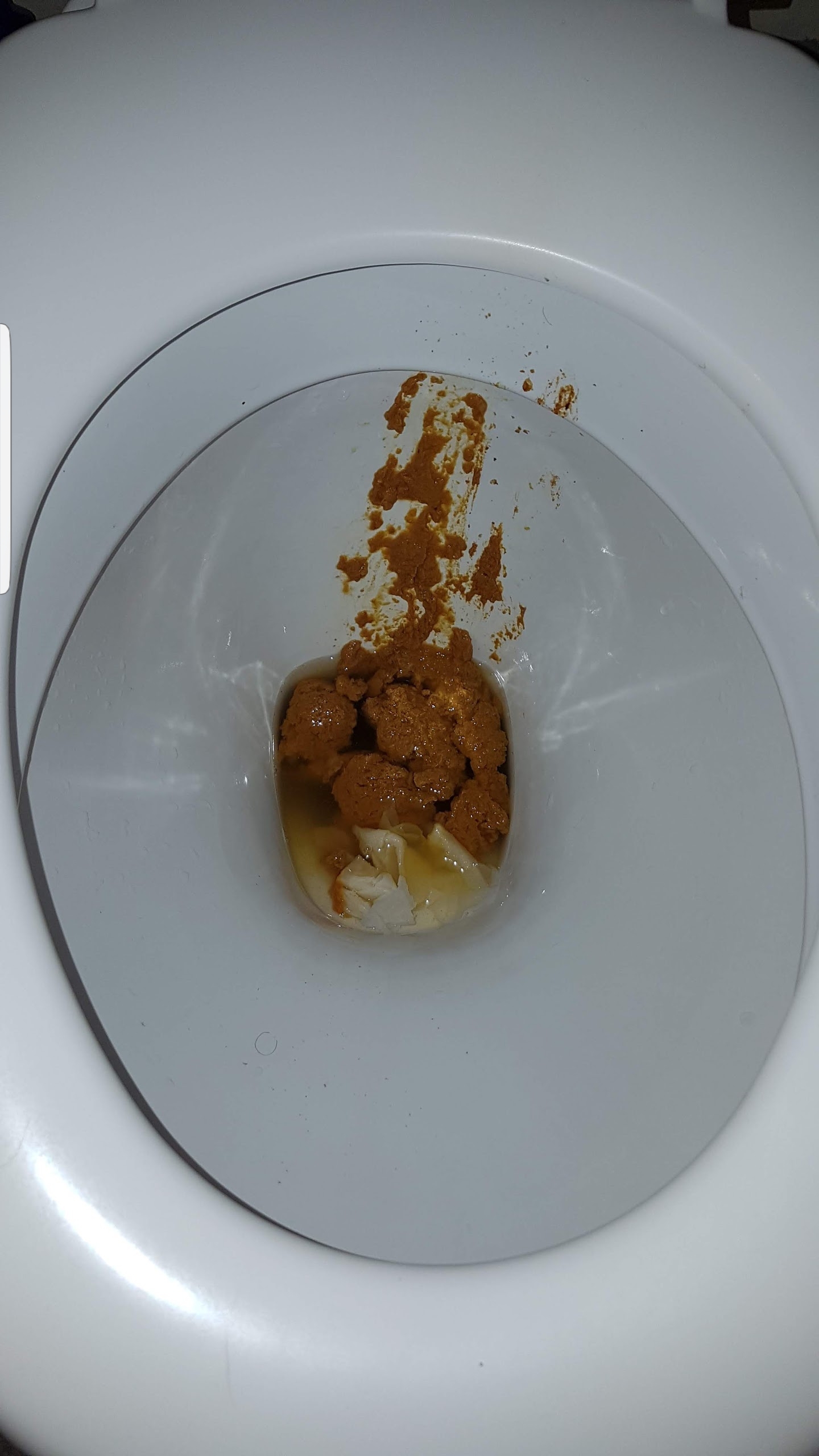 Sloppy wet shit on connors loo and he hid the loo roll again