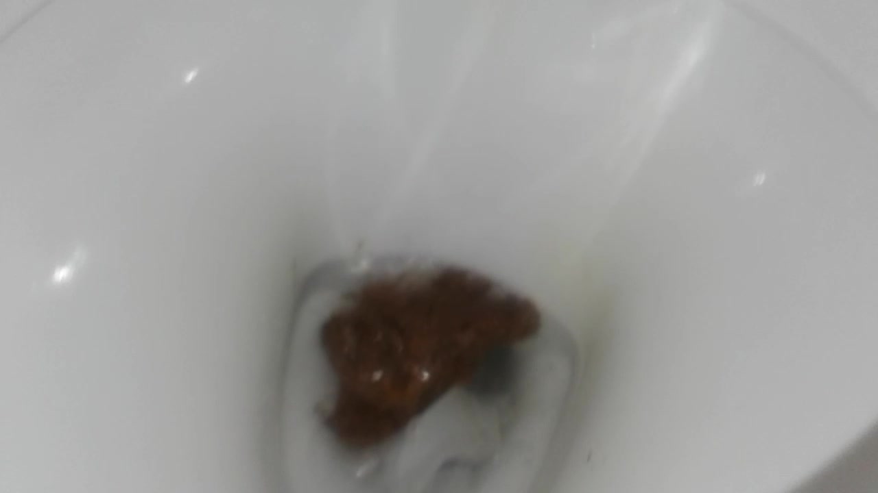 a good poop