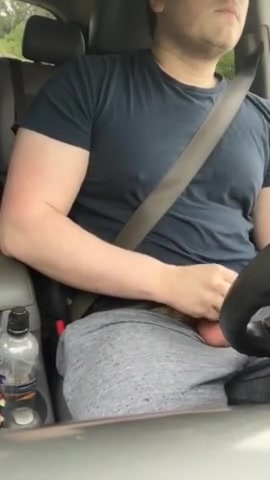 Pig busts a nut while driving