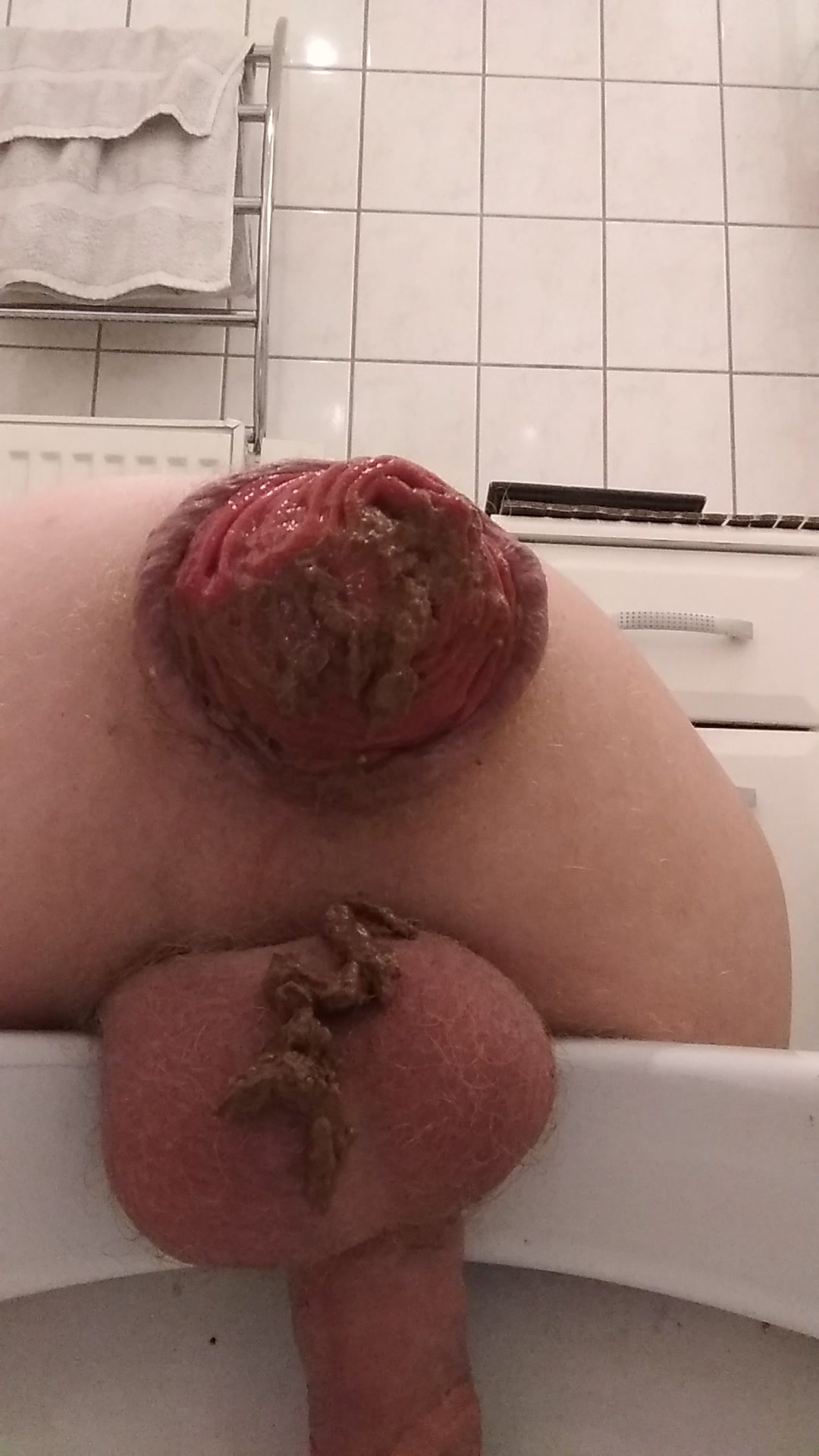 Rosebud Shit in toilet