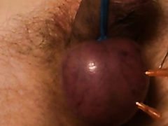 Brutal Ball Needle Torture
