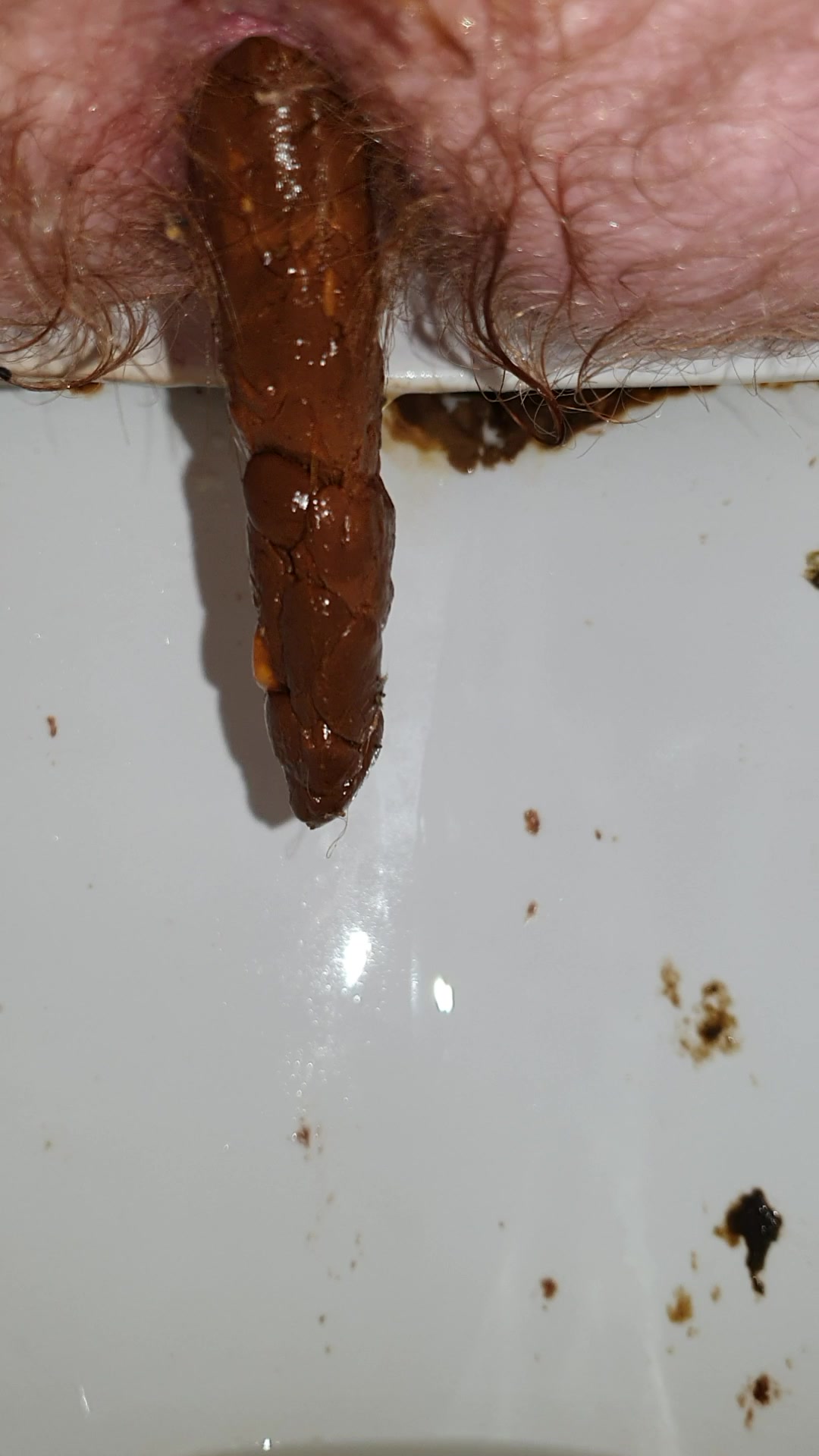 Long poo from a wet arse