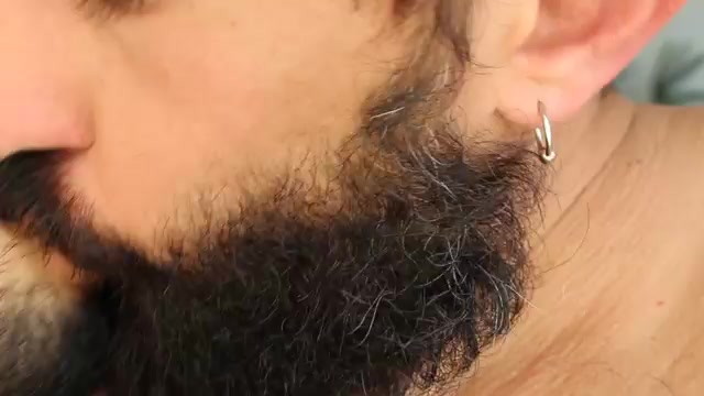 Bears kissing with tongue