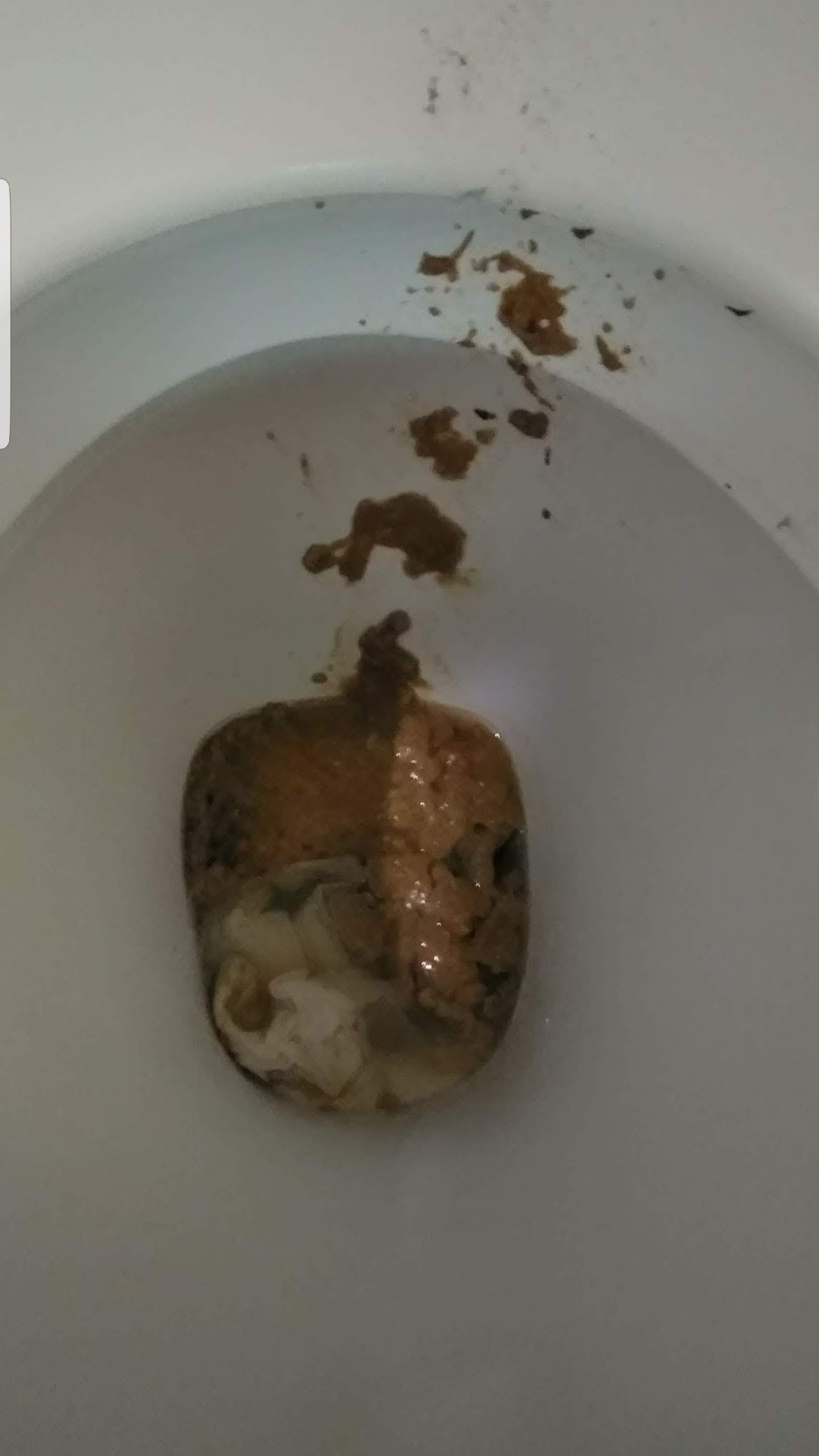 Bad farty morning shit on connors loo