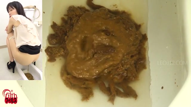 Japanese diarrhea public toilet