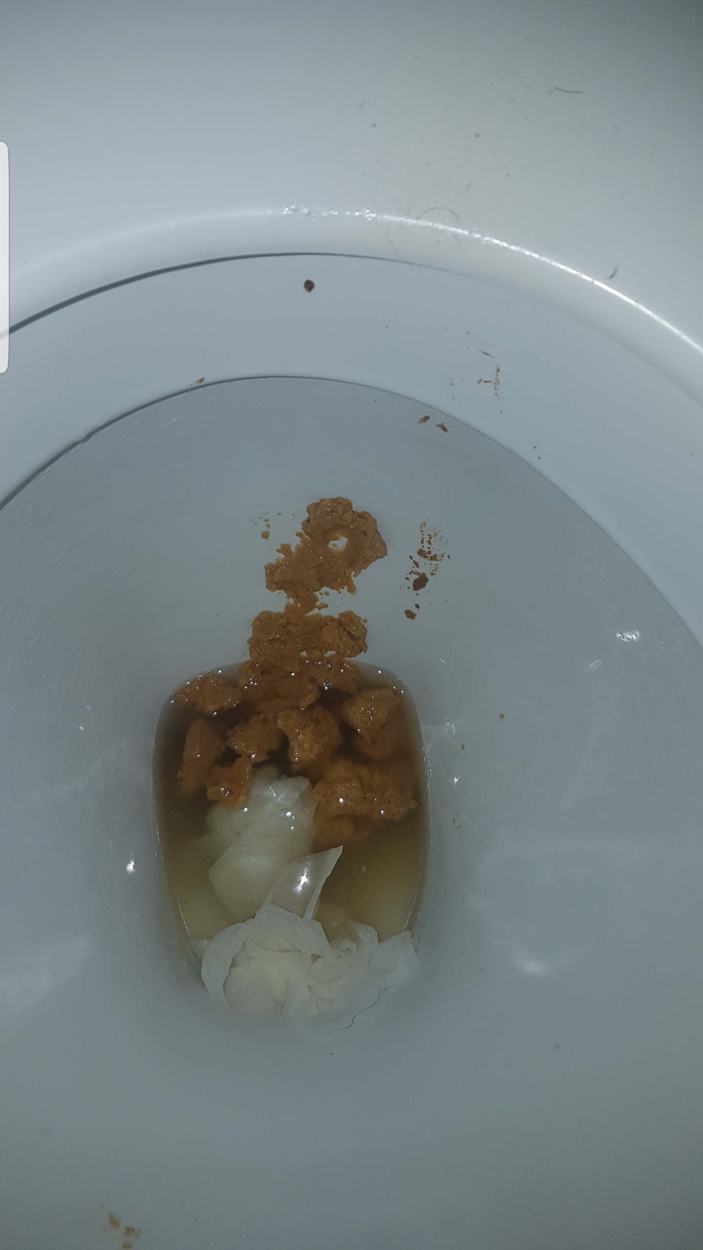 Second saturday morning farty shit on mates loo in toilet view