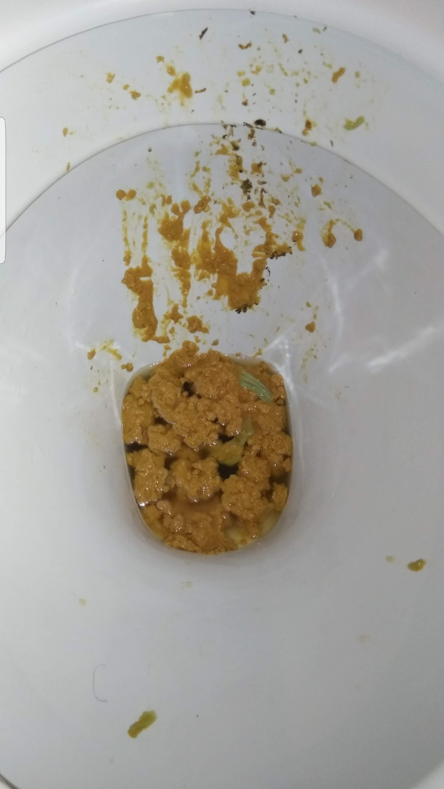 Sloppy wet farty morning shit on connors loo